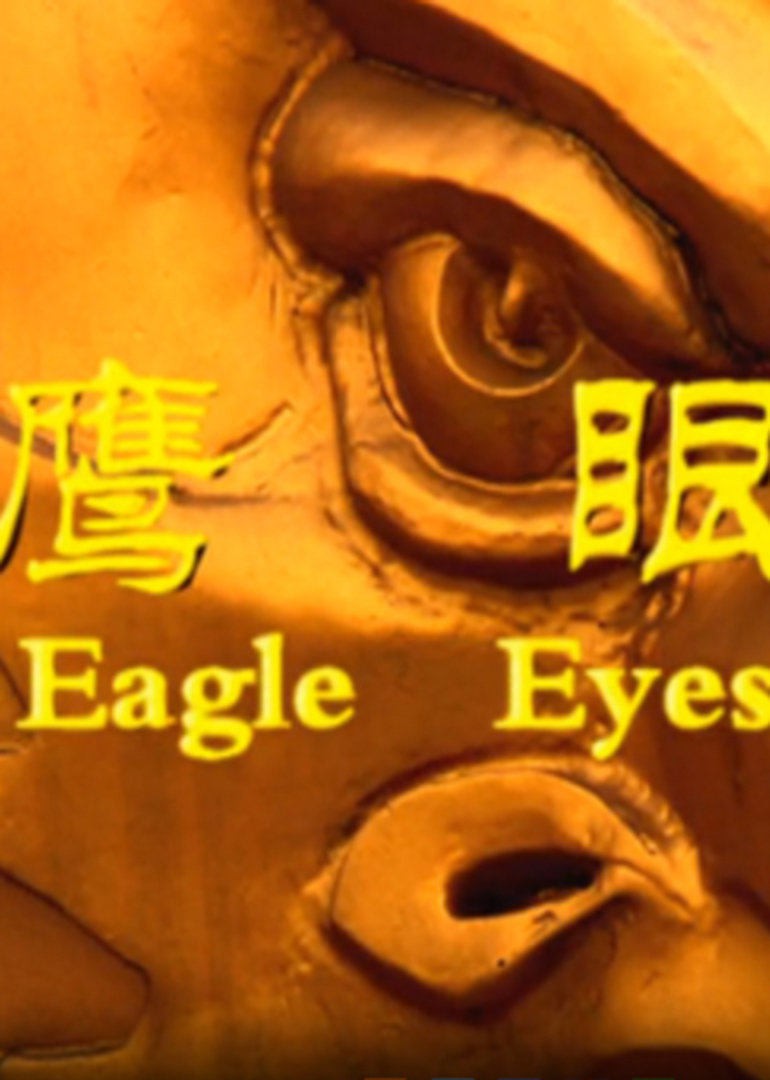 《鹰眼2009》海报