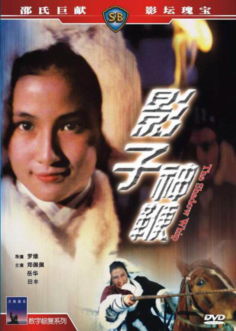 《影子神鞭》海报