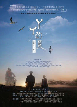 《丫丫的夏》海报