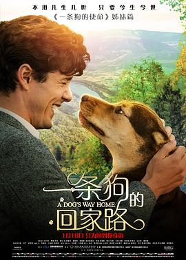 《一条狗的回家路（原声版）》海报