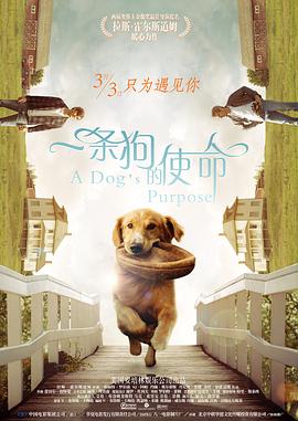 《一条狗的使命（国语版）》海报