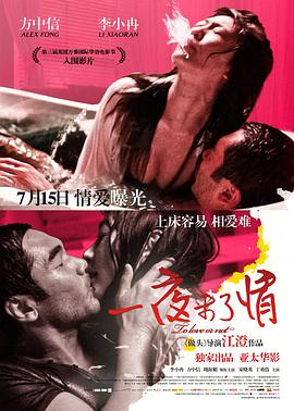 《一夜未了情》海报