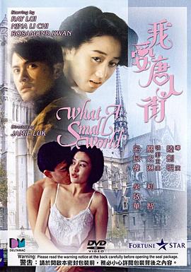 《我爱唐人街（粤语版）》海报