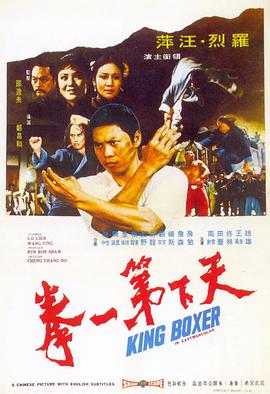 《天下第一拳》海报