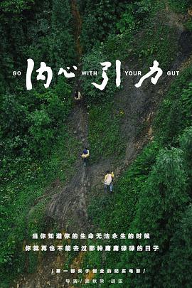 《内心引力》海报