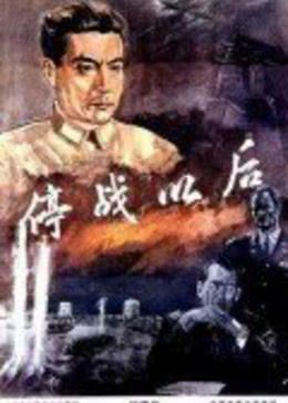 《停战以后》海报
