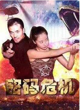 《密码危机》海报