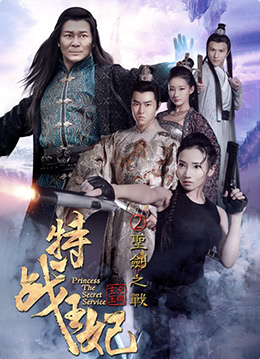 《特战王妃2圣剑之战》海报