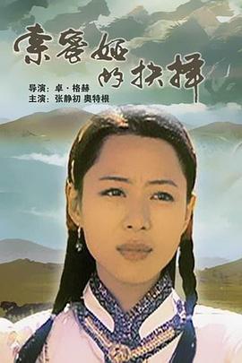 《索密娅的抉择》海报