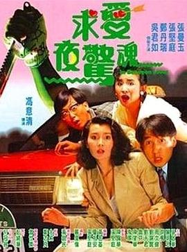 《求爱夜惊魂》海报