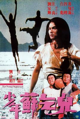 《少年苏乞儿》海报