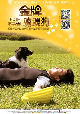 《金牌流浪狗》海报