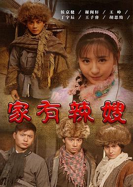 《家有辣嫂》海报