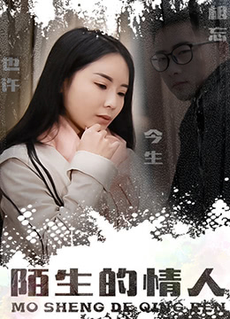 《陌生的情人》海报