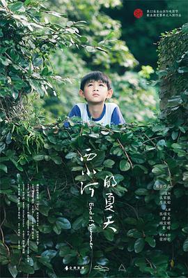 《西小河的夏天》海报