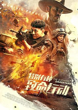 《特别有种：致命行动》海报