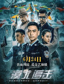 《漠北追击》海报
