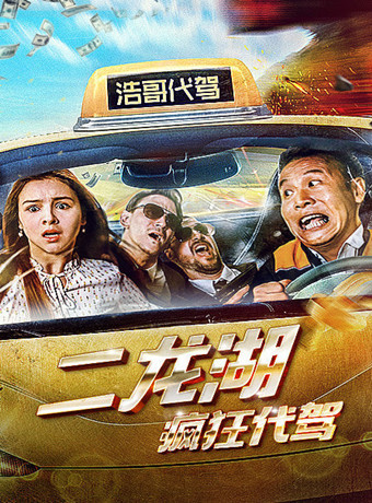 《二龙湖疯狂代驾》海报