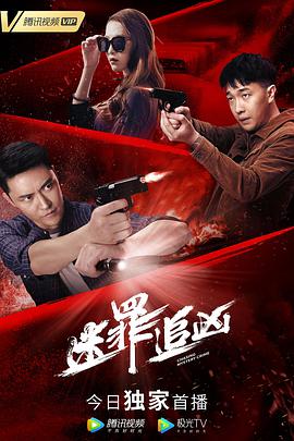 《迷罪追凶》海报