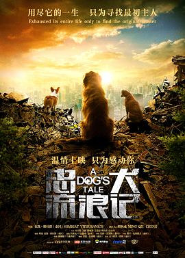 《忠犬流浪记》海报