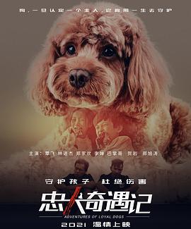 《忠犬奇遇记》海报