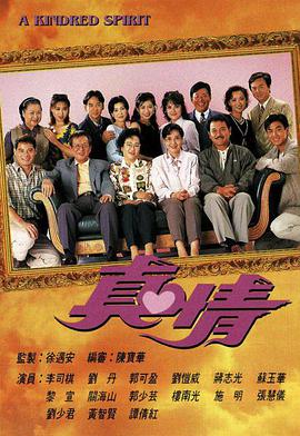 《真情》海报