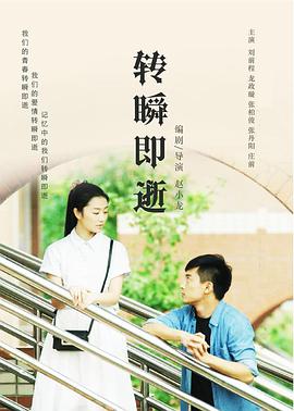 《转瞬即逝》海报