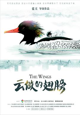 《云做的翅膀》海报