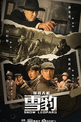 《雪豹之暗战天机》海报
