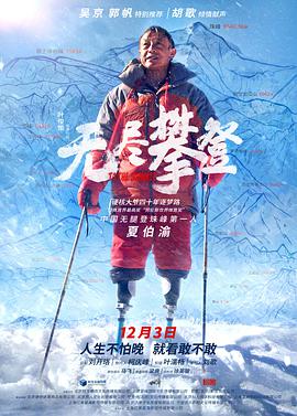 《无尽攀登》海报
