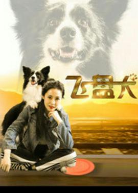 《飞盘犬 (2020)》海报