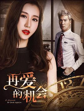 《再爱的机会》海报