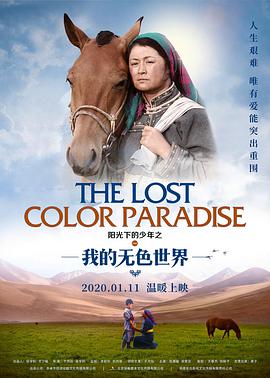 《阳光下的少年之我的无色世界》海报