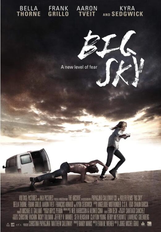 《辽阔天空》海报