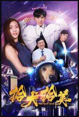 《拾犬拾美》海报