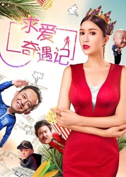 《求爱奇遇记》海报