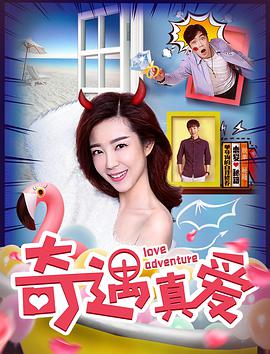 《奇遇真爱》海报