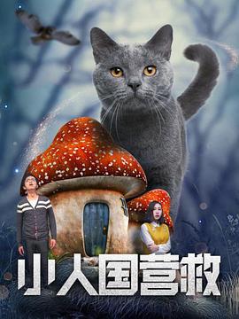 《小人国营救》海报