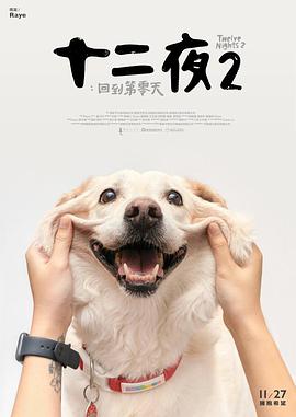 《十二夜2：回到第零天》海报