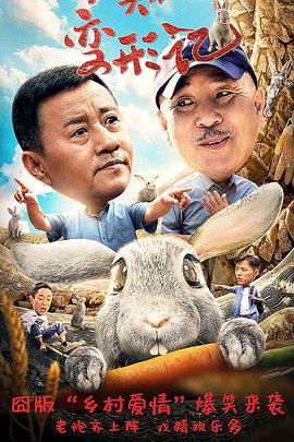《石头村变形记》海报