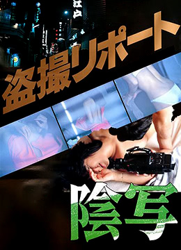 《私阴盗摄》海报