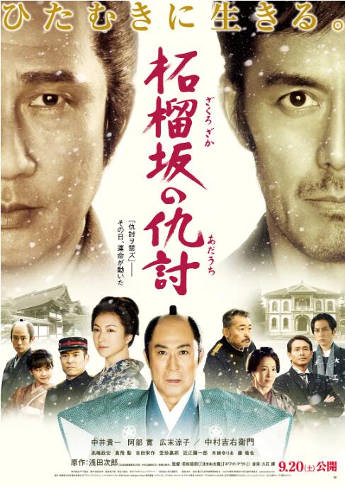 《石榴坡的复仇》海报