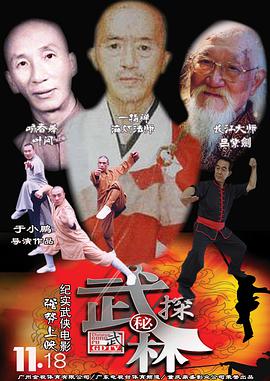 《武林探秘》海报