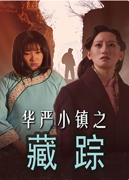 《华严小镇2之藏踪》海报