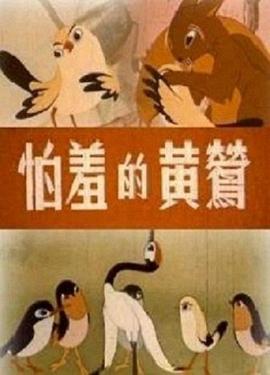 《怕羞的黄莺》海报