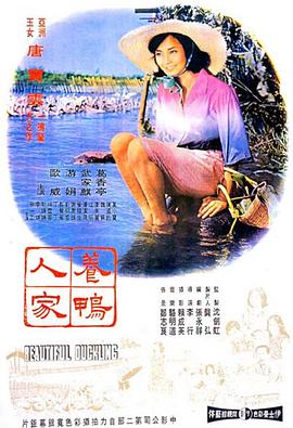《养鸭人家》海报