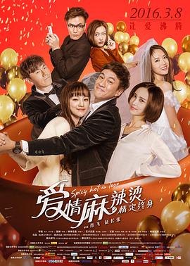 《爱情麻辣烫之情定终身》海报
