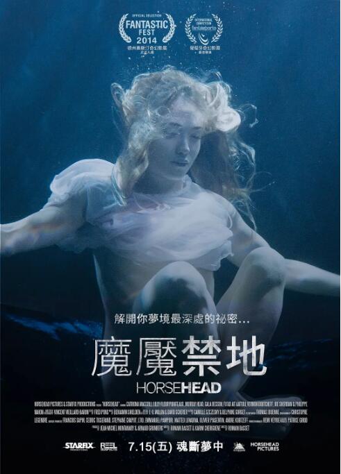 《马头》海报