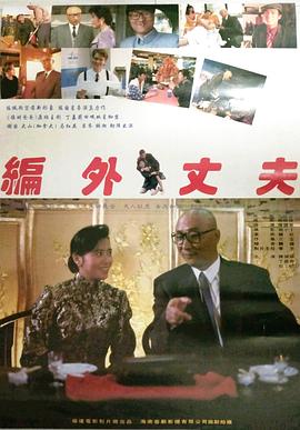 《编外丈夫》海报