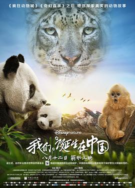 《我们诞生在中国》海报